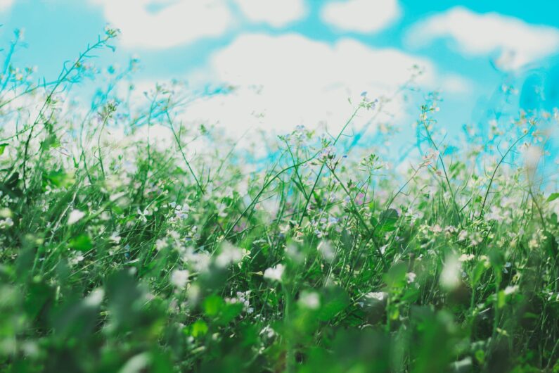 5 Shocking Allergy Triggers You Never Knew Existed! #3 Will Leave You Speechless!