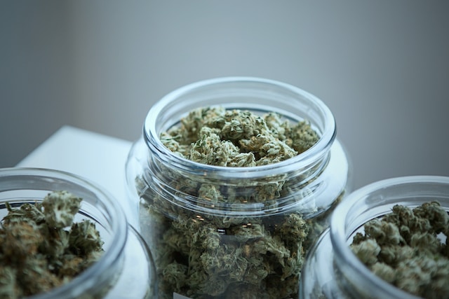 Debunking Myths About Medical Marijuana Cards: Clearing the Smoke